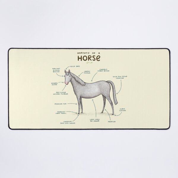 Item preview, Anatomy of a Horse designed and sold by SophieCorrigan.