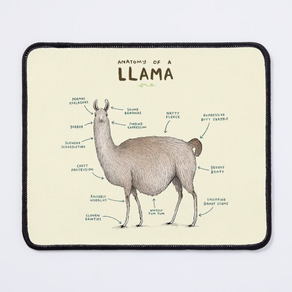 Item preview, Anatomy of a Llama designed and sold by SophieCorrigan.