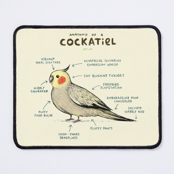 Item preview, Anatomy of a Cockatiel designed and sold by SophieCorrigan.