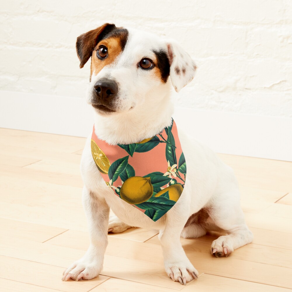 Lemon and Leaf Pet Bandana