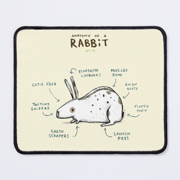 Item preview, Anatomy of a Rabbit designed and sold by SophieCorrigan.
