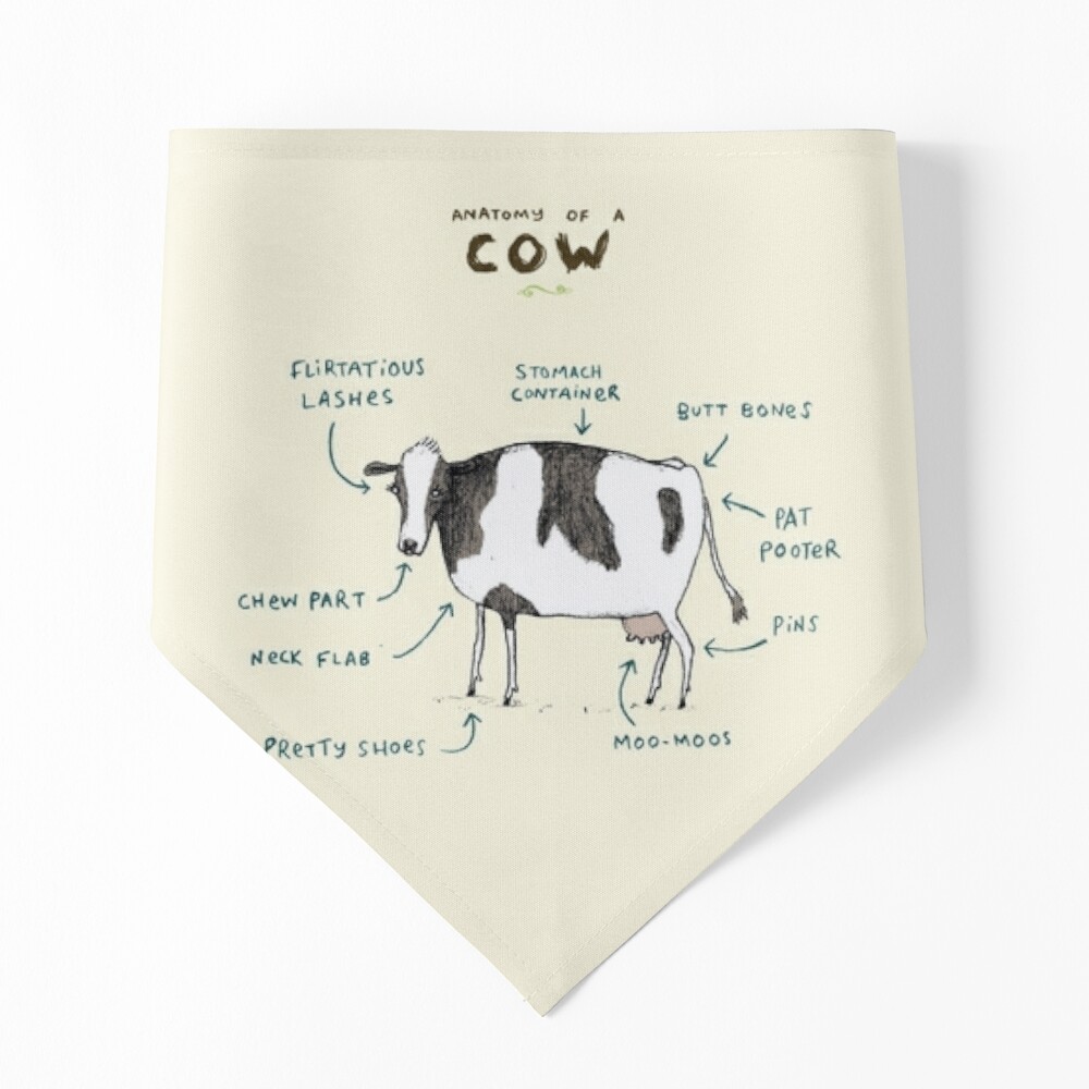 Cow With Bandana Kitchen Towel, Cow Home Decor, Cute Cow Dish Cloth