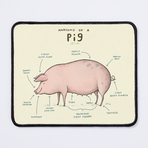 Item preview, Anatomy of a Pig designed and sold by SophieCorrigan.