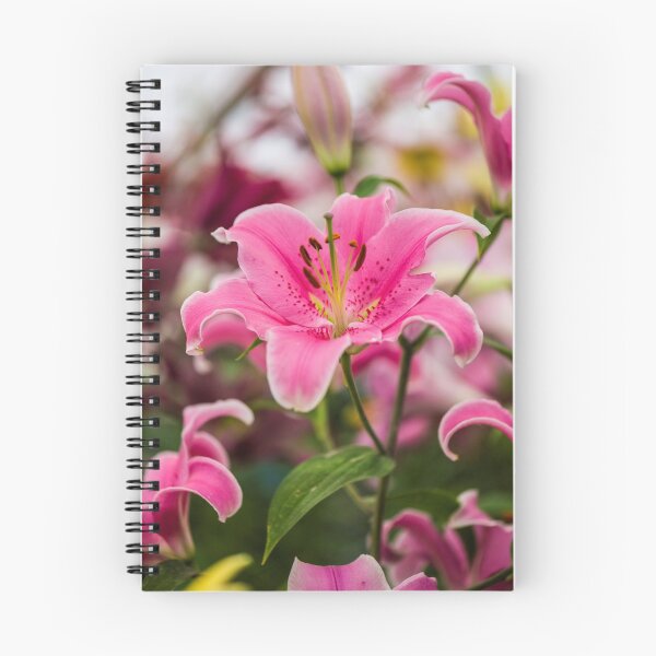 Item preview, Lillium Pink Surprise designed and sold by Alius Imago.
