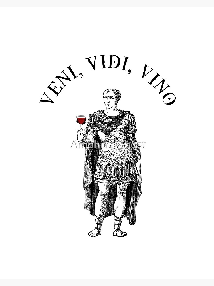 Veni vidi vici! - Funny  Veni vidi vici, Funny pictures, Funny