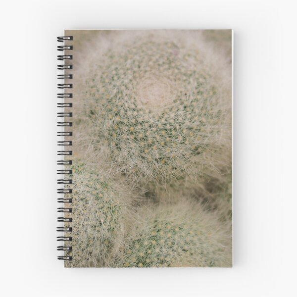 Item preview, Cactus Mammillaria Furry Friend designed and sold by Alius Imago.