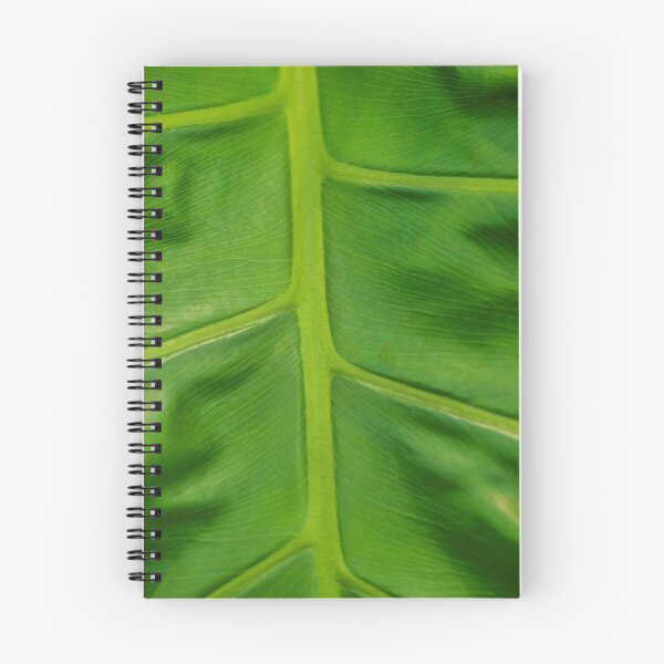 Item preview, Palm Route To Nowhere designed and sold by Alius Imago.