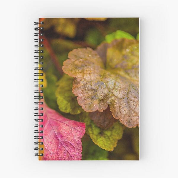 Item preview, Heuchera Green Spice designed and sold by Alius Imago.