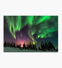 Aurora Fotodruck