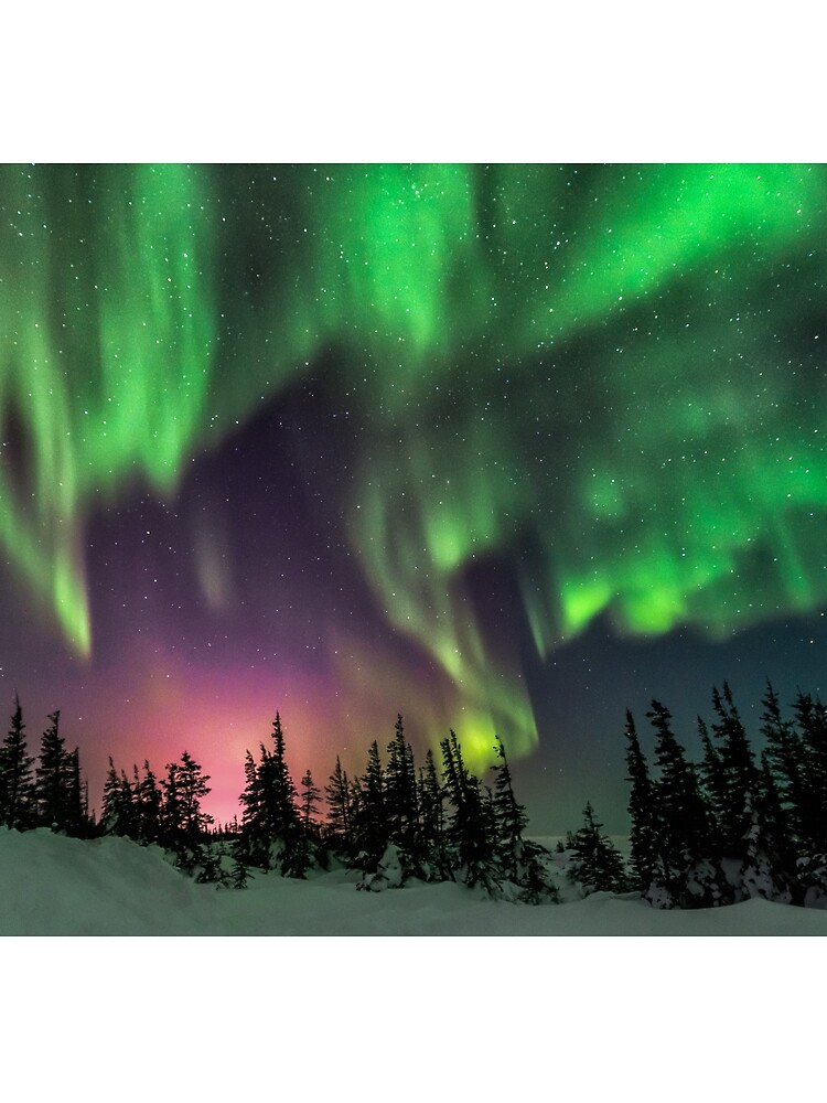 Aurora by hussinb