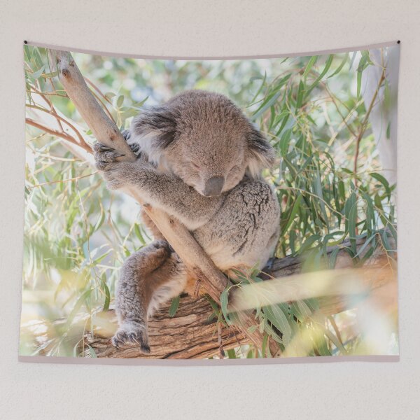Item preview, Just a Sleepy Australian Koala Bear Gum Tree designed and sold by Jaydee001.