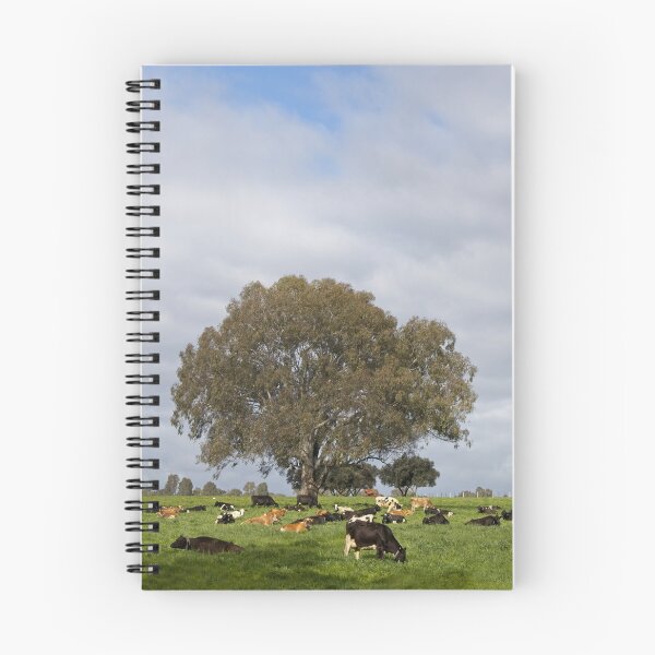 Item preview, Contented Cows designed and sold by Linda Lees.