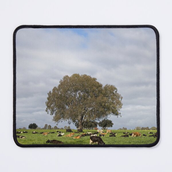 Item preview, Contented Cows designed and sold by Linda Lees.