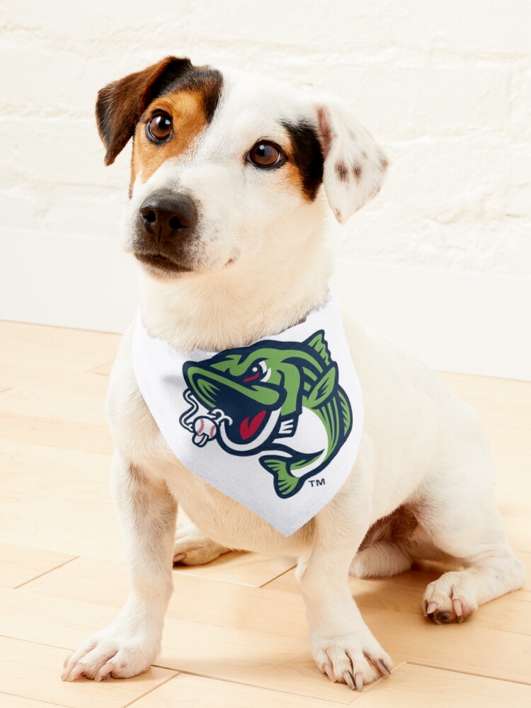 Gwinnett Stripers Active T-Shirt for Sale by luckyspencer