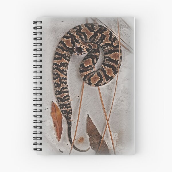 Item preview, Copperhead yearling designed and sold by WikkedCreationz.
