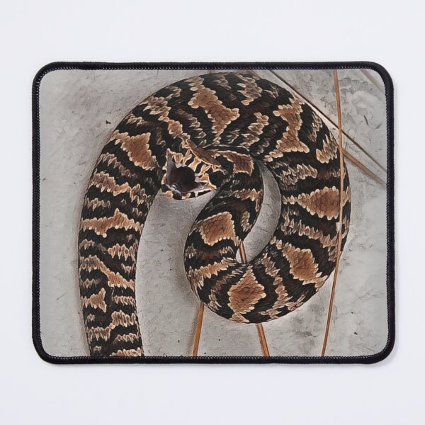 Item preview, Copperhead yearling designed and sold by WikkedCreationz.