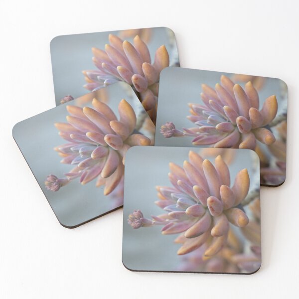 Item preview, Pretty succulent designed and sold by Linda Lees.