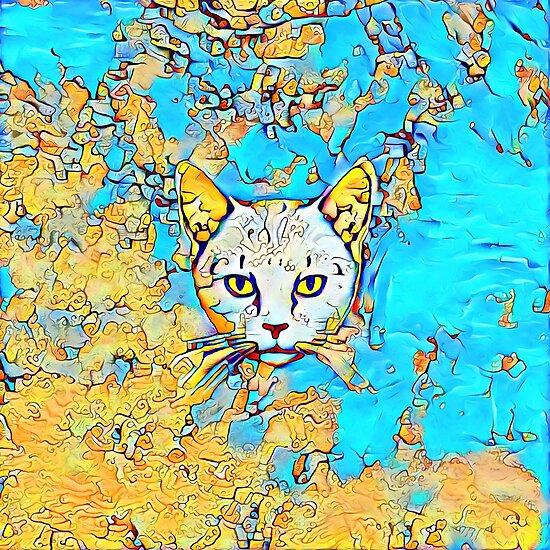 Catus