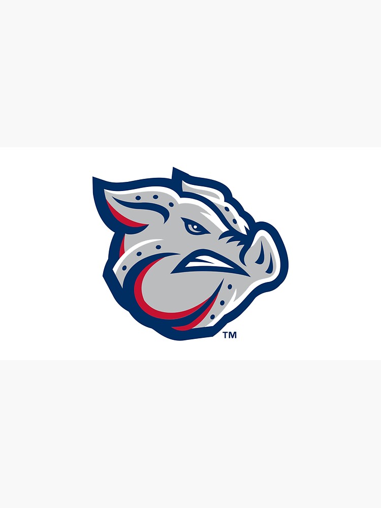 The Lehigh Valley Iron Pigs