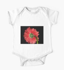 Red Gerbera Daisy Short Sleeve Baby One-Piece