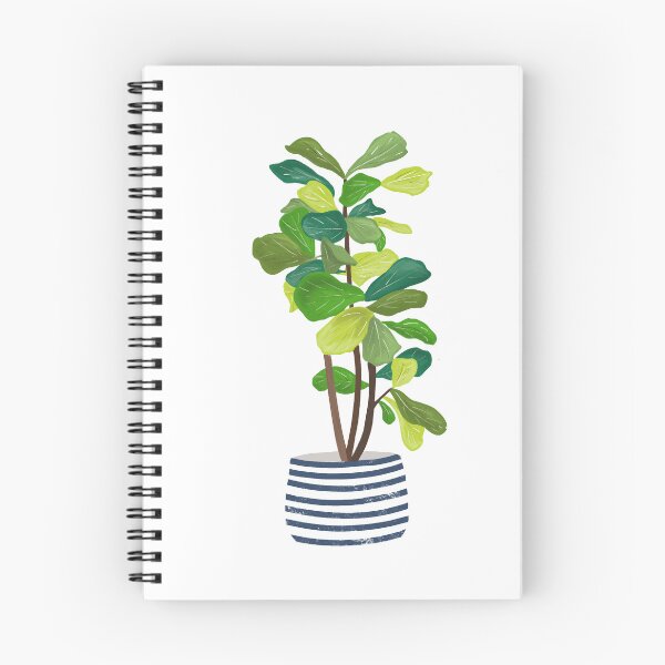Item preview, Fiddle Leaf Fig Plant  designed and sold by Giulia  Palazzo.