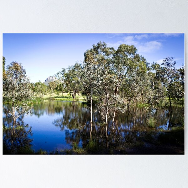 Item preview, Trees reflected at Dunkeld Community Park, Victoria designed and sold by Elana Bailey.