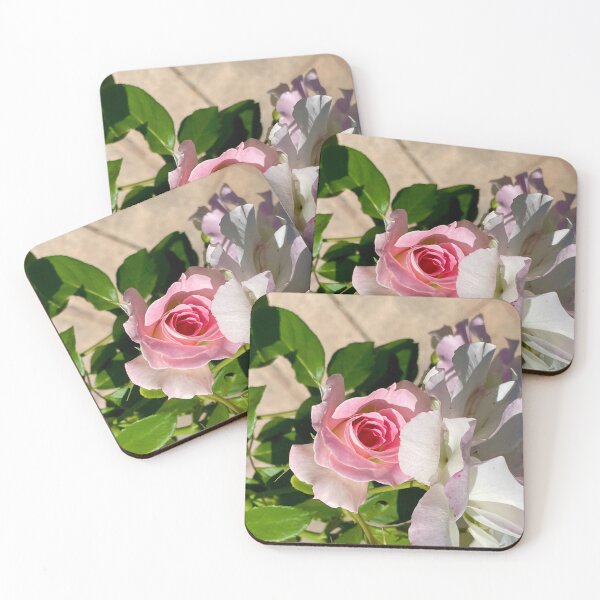 Item preview, The Old and the New Barely Blush Bush designed and sold by KazM.