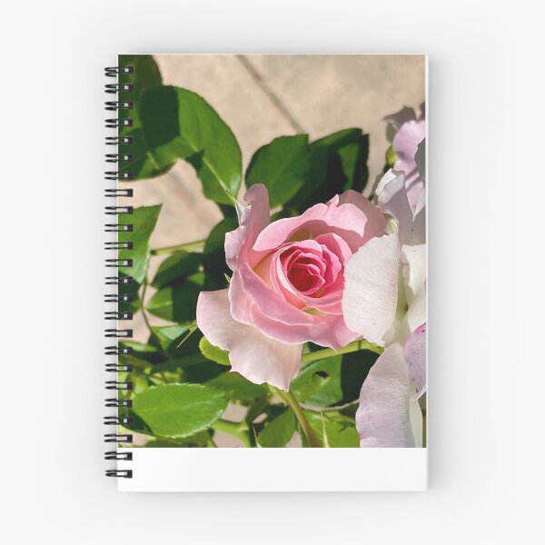 Item preview, The Old and the New Barely Blush Bush designed and sold by KazM.