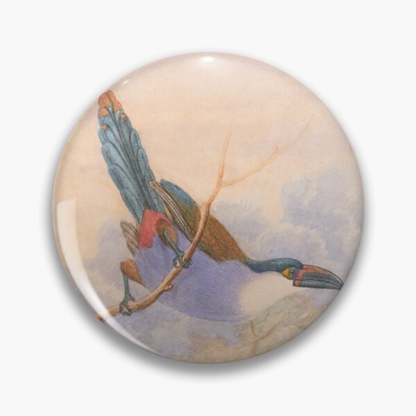Item preview, Black-Billed Mountain Toucan (Andigena nigrirostris) designed and sold by Amanda1775.