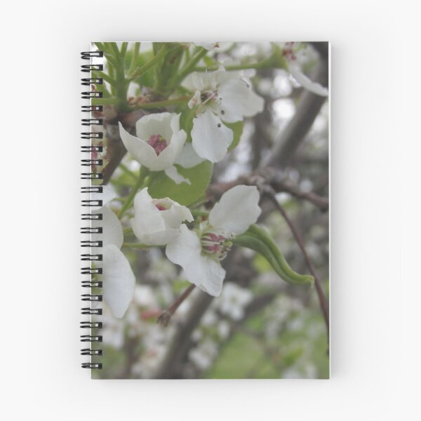 Item preview, Callery pear flower close up designed and sold by TheVioletWitch.