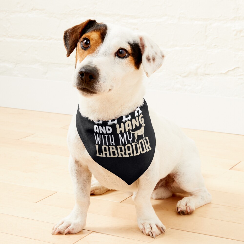 https://ih1.redbubble.net/image.3624016597.0013/ur,pet_bandana_small_primary,square,1000x1000.jpg