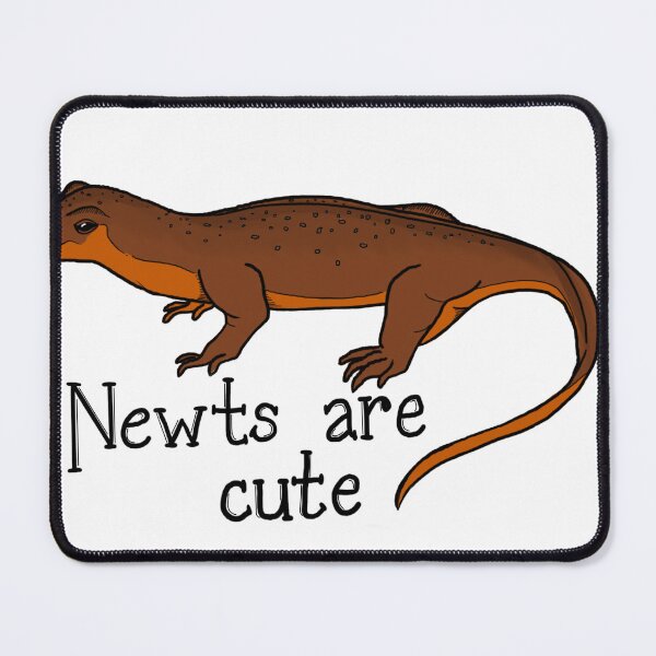 Item preview, Newts Are Cute designed and sold by Fernheart Designs.