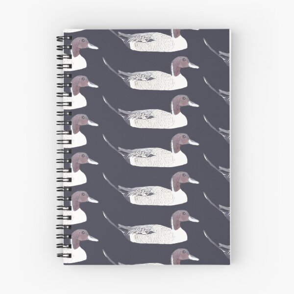 Item preview, Northern Pintail watercolor bird species art designed and sold by TheWaterBirds.