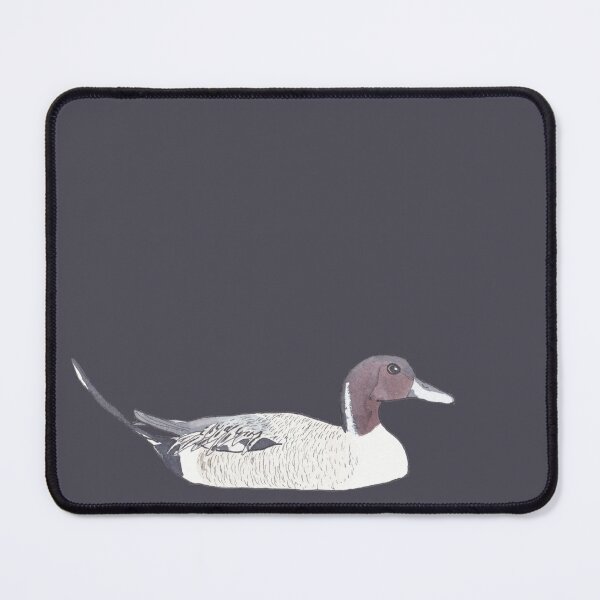 Item preview, Northern Pintail watercolor bird species art designed and sold by TheWaterBirds.