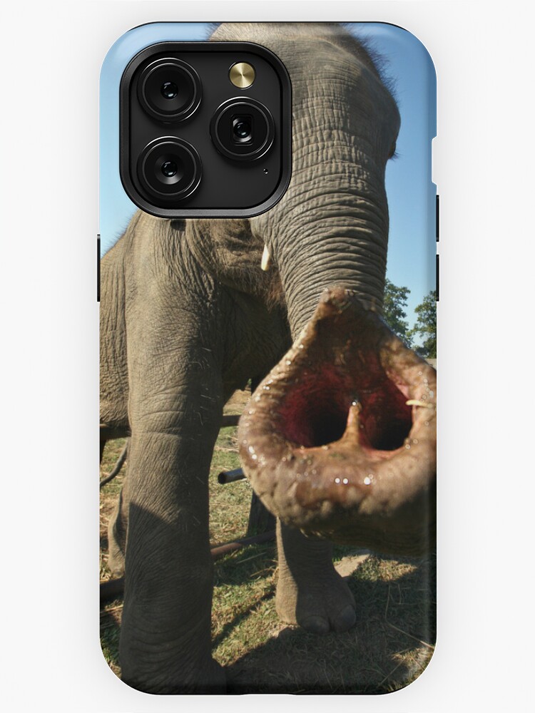 NEPAL BABY ELEPHANT, HEART SHAPED TRUNK iPhone Case for Sale by