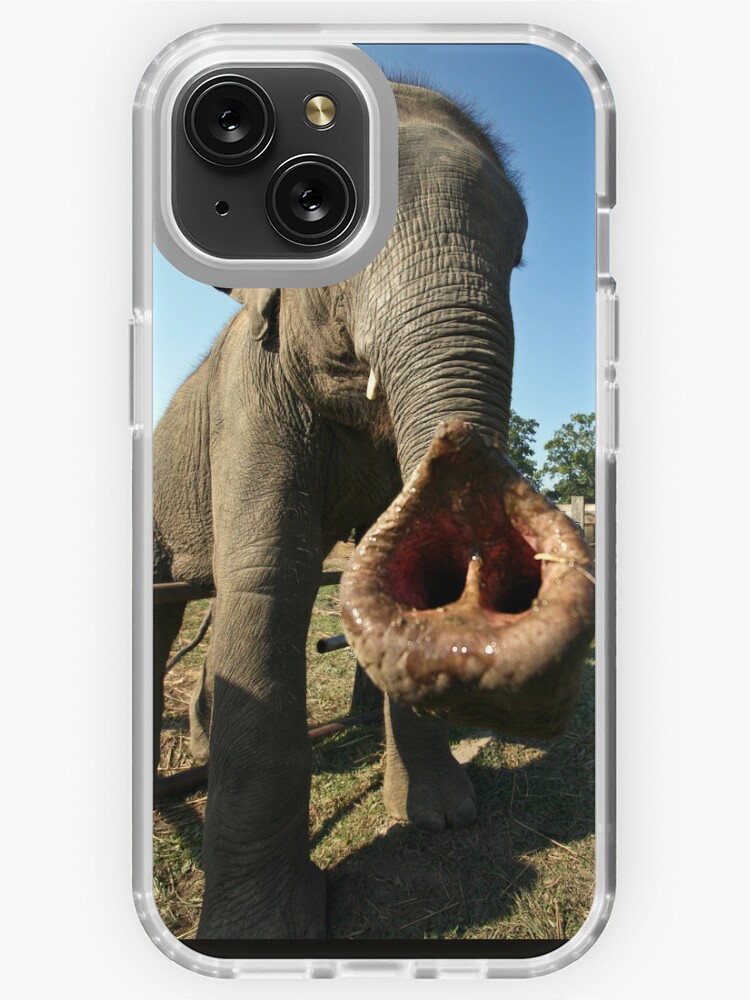 NEPAL BABY ELEPHANT, HEART SHAPED TRUNK iPhone Case for Sale by