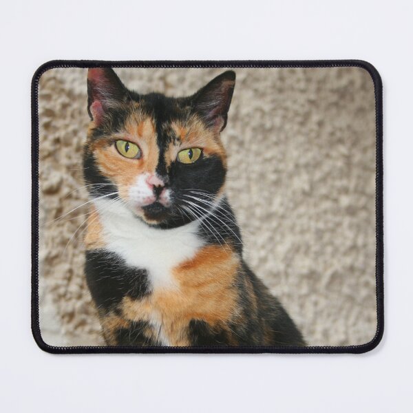 Item preview, Slinky! designed and sold by RedHillDigital.