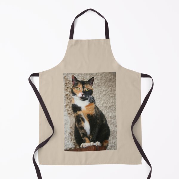 Item preview, Slinky! designed and sold by RedHillDigital.