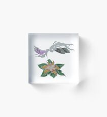 Butterfly Bog - Color Acrylic Block