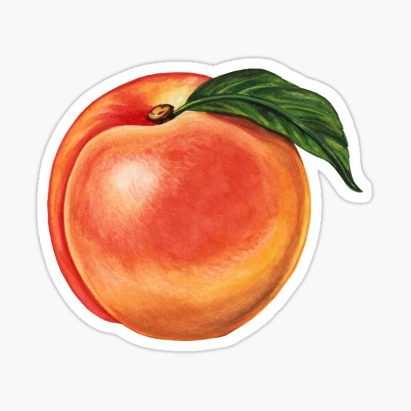 Item preview, Peach Pattern designed and sold by Kelly  Gilleran.