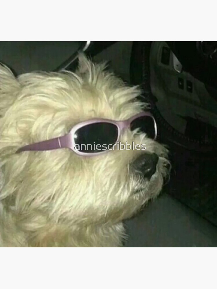 "dog with glasses meme" Sticker for Sale by anniescribbles Redbubble
