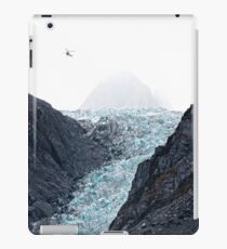 Fox Glacier 2 iPad Case/Skin