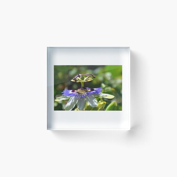 Item preview, Passion Flower,  designed and sold by lynn carter.