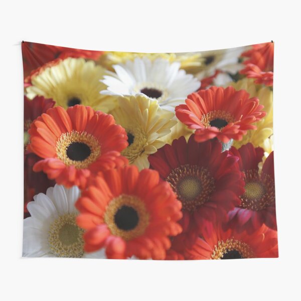 Telas decorativas: Gerbera | Redbubble