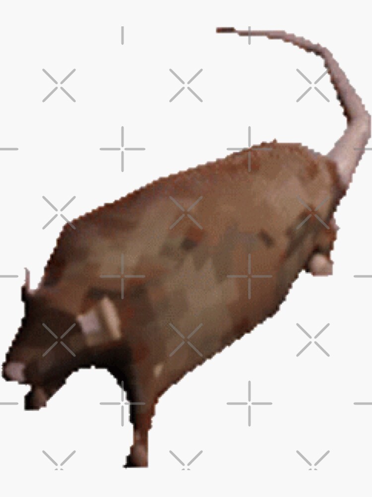 "Spinning Rat Meme" Sticker by beeeboooop Redbubble