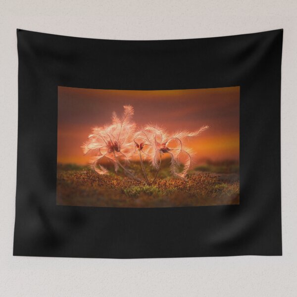 Item preview, Sunset Macro Nature Scene of Moss and Plant designed and sold by RonelBroderick.