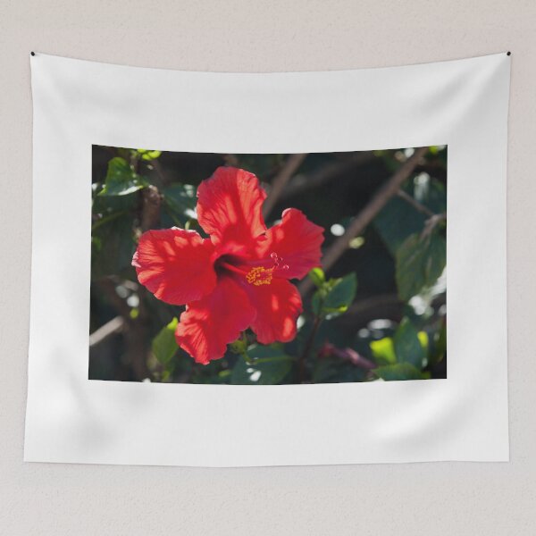 Item preview, Hibiscus designed and sold by chrismelinafrnk.