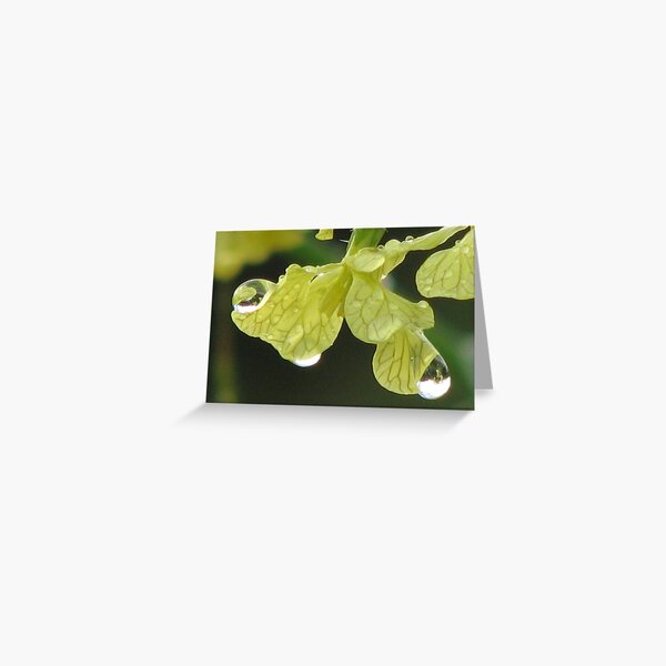 untitled Greeting Card