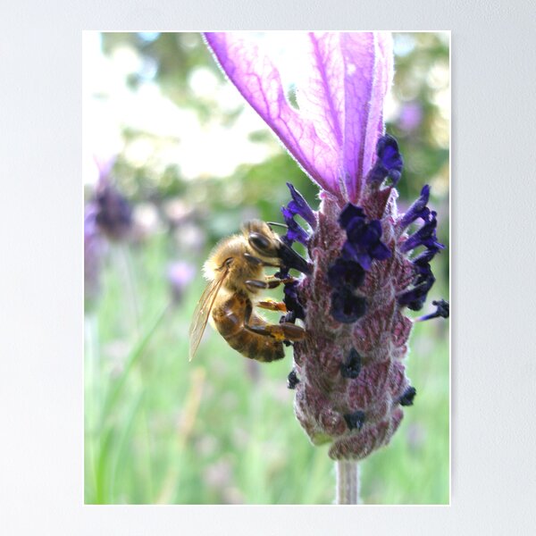 Item preview, Bumbling Bee designed and sold by Shannyn.