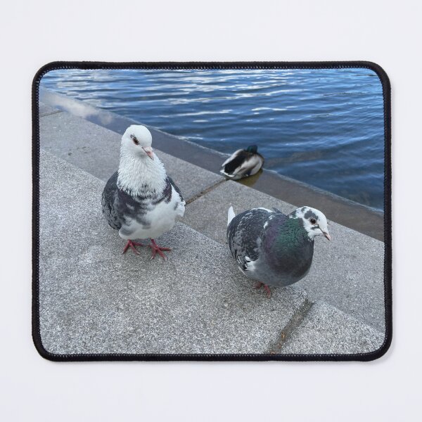 Item preview, 2 pigeons • 2022 designed and sold by Mortinus.